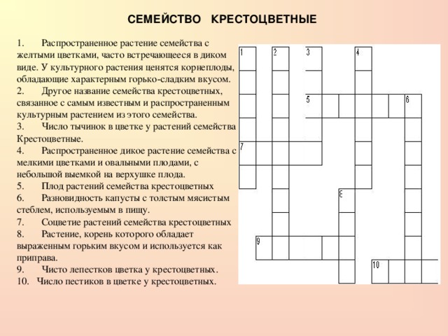 Сложноцветные кроссворд. Кроссворд на тему Розоцветные. Кроссворд на тему двудольные растения. Кроссворд на тему семейства класса двудольные. Кроссворд на тему семейство крестоцветные.