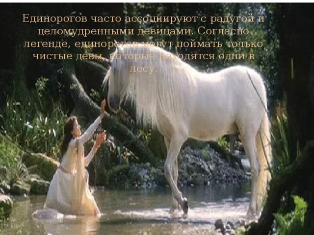 Единорогов часто ассоциируют с радугой и целомудренными девицами. Согласно легенде, единорогов могут поймать только чистые девы, которые находятся одни в лесу . 
