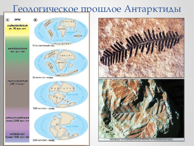 Геологическое прошлое Антарктиды  