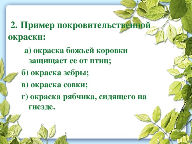  2.  Пример покровительственной окраски:  а) окраска божьей коровки защищает ее от птиц; б) окраска зебры; в) окраска совки; г) окраска рябчика, сидящего на гнезде. 