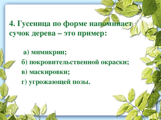 4. Гусеница по форме напоминает сучок дерева – это пример:  а) мимикрии;  б) покровительственной окраски;  в) маскировки;  г) угрожающей позы. 