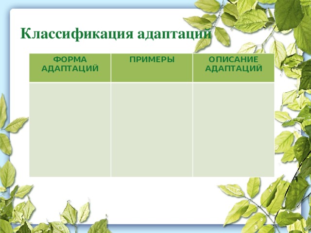 Классификация адаптаций   ФОРМА АДАПТАЦИЙ ПРИМЕРЫ ОПИСАНИЕ АДАПТАЦИЙ 