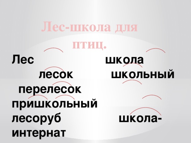 Лес-школа для птиц.  Лес школа  лесок школьный  перелесок пришкольный  лесоруб школа-интернат 