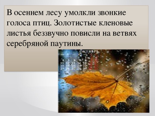 В осеннем лесу умолкли звонкие голоса птиц. Золотистые кленовые листья беззвучно повисли на ветвях серебряной паутины. 
