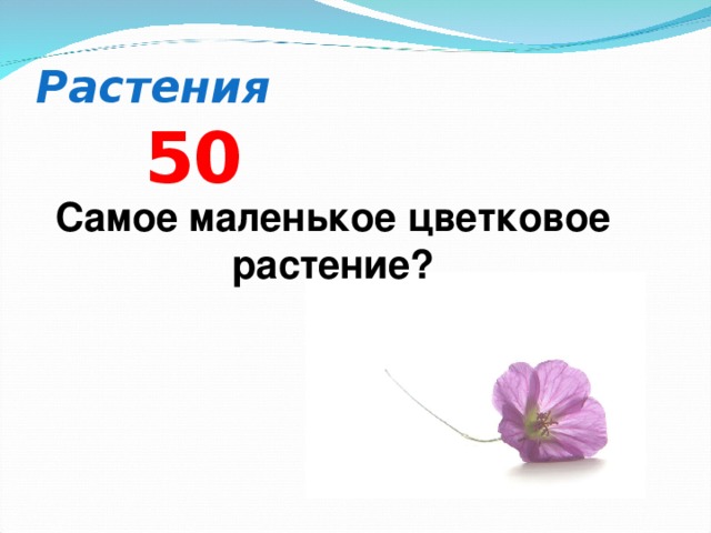 Растения 5 0 Самое маленькое цветковое растение?  