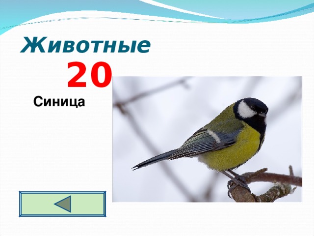 Животные 2 0 Синица  