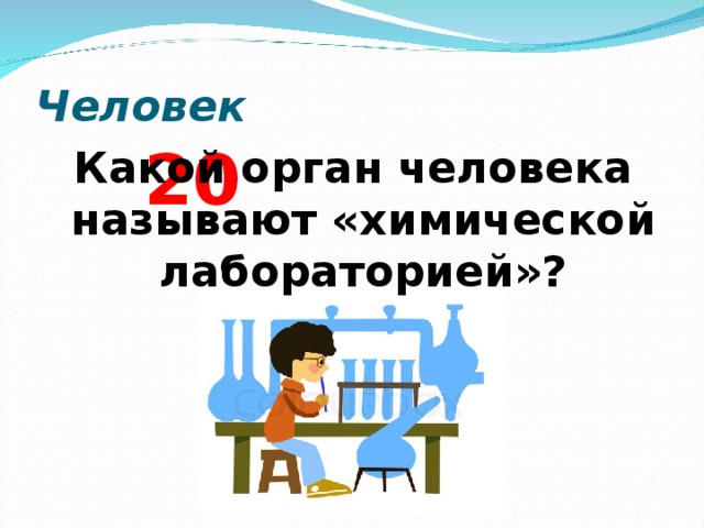 Человек   2 0 Какой орган человека называют «химической лабораторией»?  