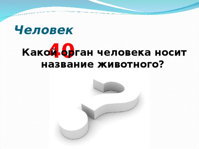  Человек  4 0   Какой орган человека носит название животного?  