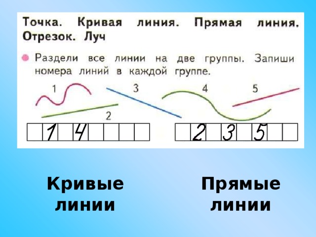 Точка отрезок 1 класс