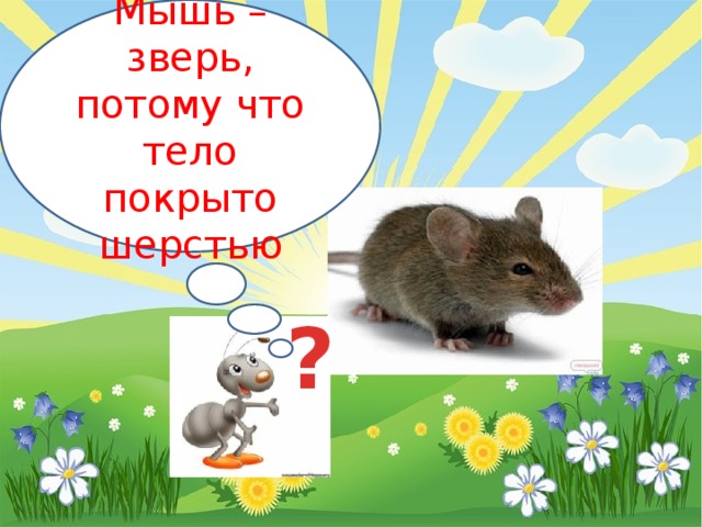 Мышь – зверь, потому что тело покрыто шерстью ? 