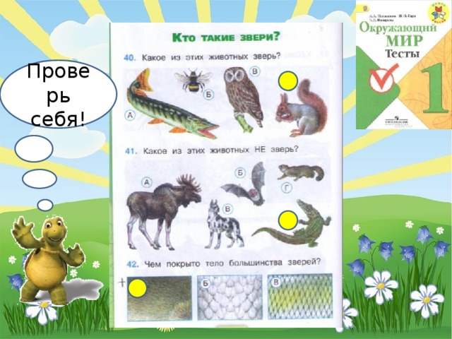 Проверь себя! 