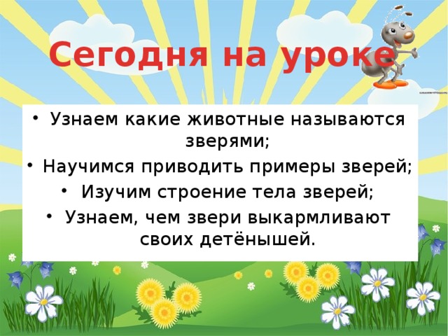 Сегодня на уроке Узнаем какие животные называются зверями; Научимся приводить примеры зверей; Изучим строение тела зверей; Узнаем, чем звери выкармливают своих детёнышей. 