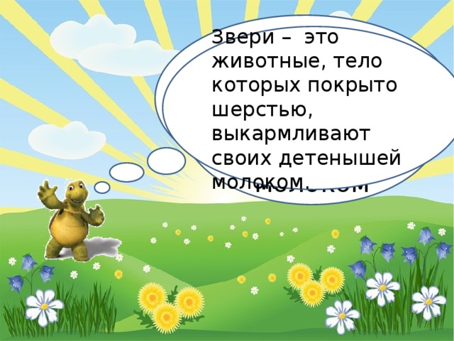 Поэтому их называют млекопитающими Звери – это животные, тело которых покрыто шерстью, выкармливают своих детенышей молоком. Звери выкармливают своих детей молоком 