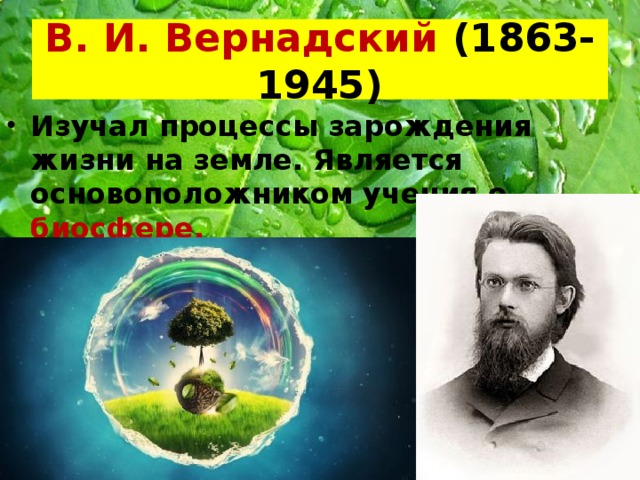 В. И. Вернадский (1863-1945) Изучал процессы зарождения жизни на земле. Является основоположником учения о биосфере.  