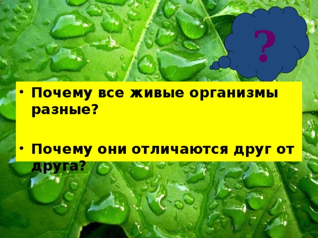 ? Почему все живые организмы разные?  Почему они отличаются друг от друга?  