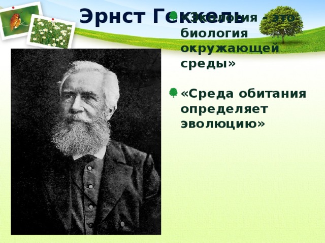 Эрнст Геккель « Экология - это биология окружающей среды»  «Среда обитания определяет эволюцию» 