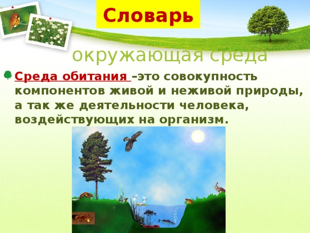 Словарь окружающая среда Среда обитания –это совокупность компонентов живой и неживой природы, а так же деятельности человека, воздействующих на организм. 