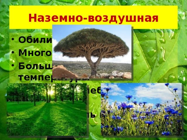 Наземно-воздушная Обилие воздуха Много света Большие колебания температуры Большие колебания влажности Большая роль ветра 