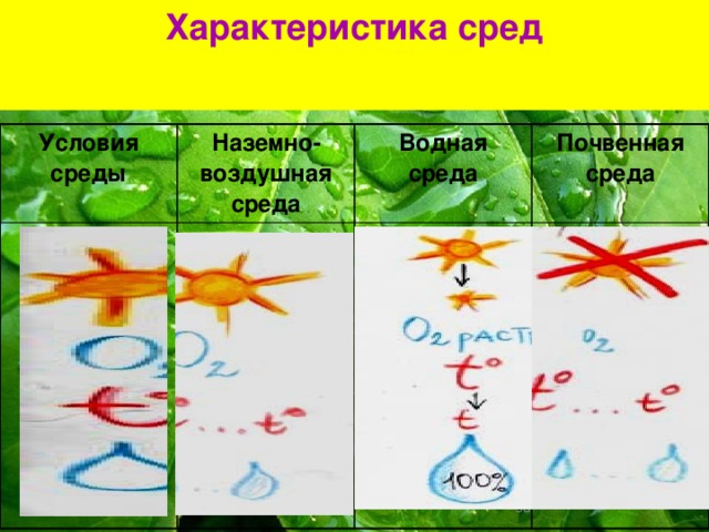 Характеристика сред Условия среды Наземно-воздушная среда Водная среда Почвенная среда 28  