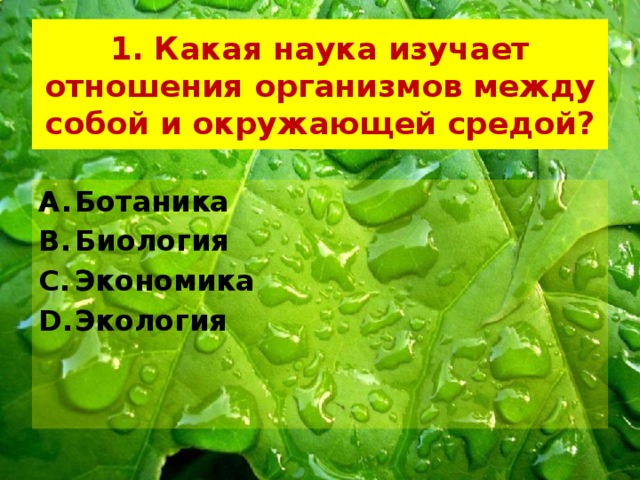 1. Какая наука изучает отношения организмов между собой и окружающей средой? Ботаника Биология Экономика Экология 