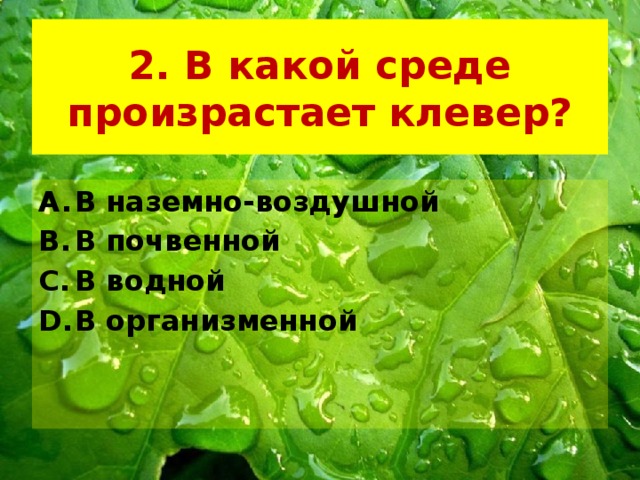 2. В какой среде произрастает клевер? В наземно-воздушной В почвенной В водной В организменной 