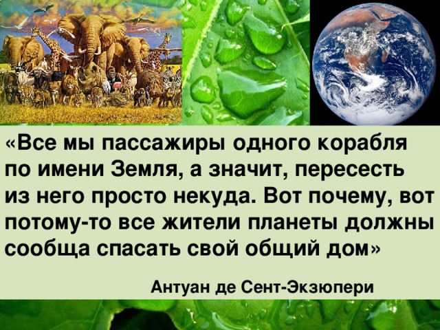 Земля наш общий дом презентация 5 класс биология