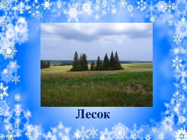 Лесок