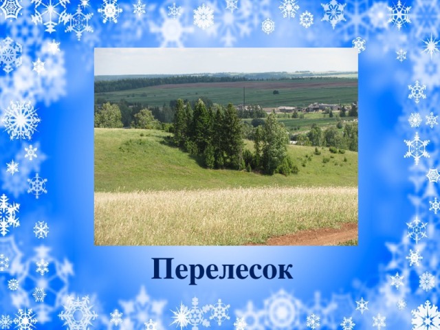 Перелесок