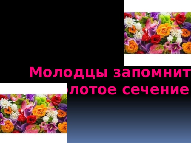 Молодцы запомнить !  золотое сечение  