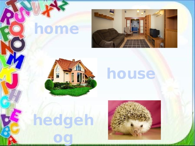 home house hedgehog 