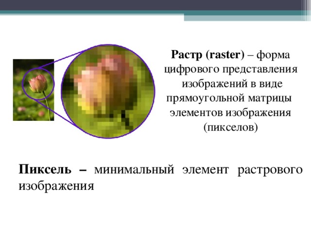Мельчайший элемент растрового изображения называется пиксель узел маркер ячейка