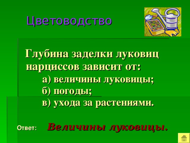  Цветоводство  Глубина заделки луковиц нарциссов зависит от:  а) величины луковицы;  б) погоды;  в) ухода за растениями.  Ответ:  Величины луковицы. 