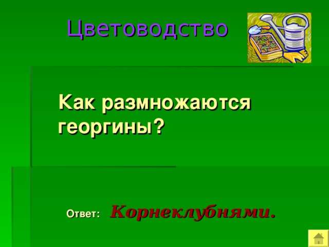  Цветоводство  Как размножаются георгины?  Ответ:  Корнеклубнями. 