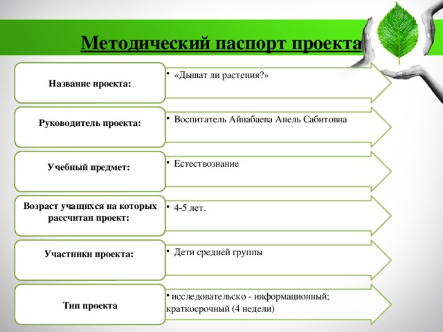 Методический паспорт проекта образец