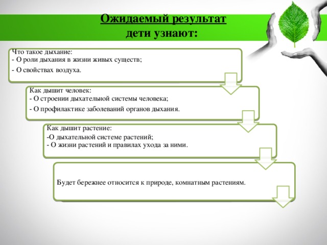 Проект чем дышат растения