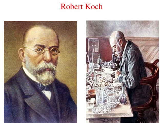 Р кох картинки