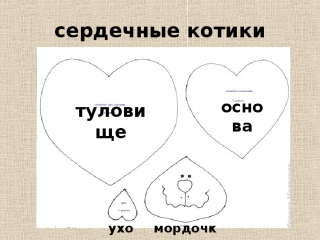 сердечные котики основа туловище ухо мордочка 