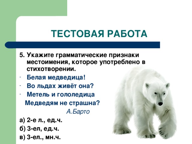 Соотнесите окраска шерсти белого медведя