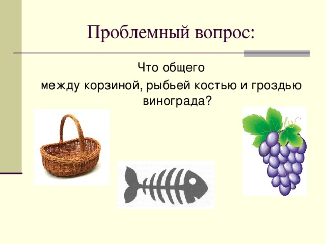 Проблемный вопрос: Что общего между корзиной, рыбьей костью и гроздью винограда? 