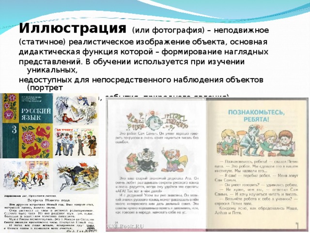 Иллюстрация (или фотография) – неподвижное (статичное) реалистическое изображение объекта, основная дидактическая функция которой – формирование наглядных представлений. В обучении используется при изучении уникальных, недоступных для непосредственного наблюдения объектов (портрет исторического лица, события, природного явления). 