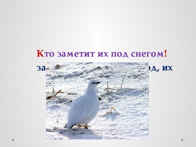 К то заметит их под снегом ! заметит, снегом, кто, под, их 