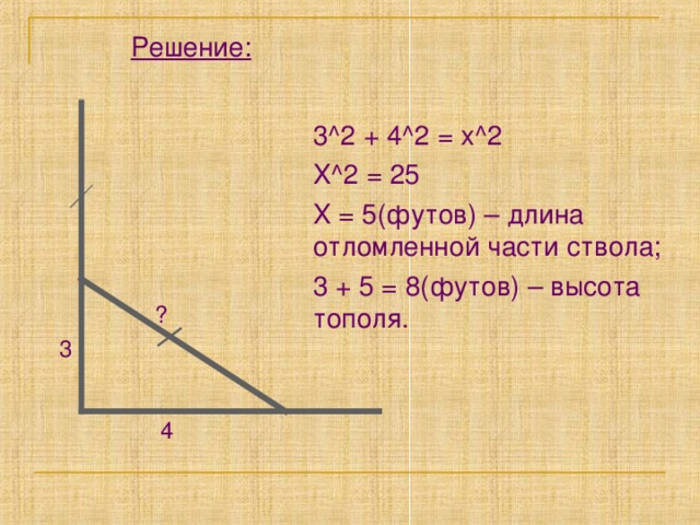 Решение: 3 ^2 + 4^2 = x^2 X^2 = 25 X = 5 (футов) – длина отломленной части ствола; 3 + 5 = 8(футов) – высота тополя. ? 3 4 