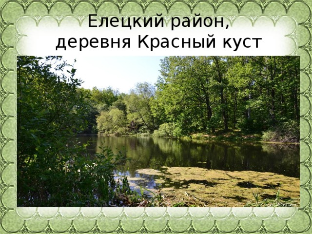   Елецкий район,  деревня Красный куст 