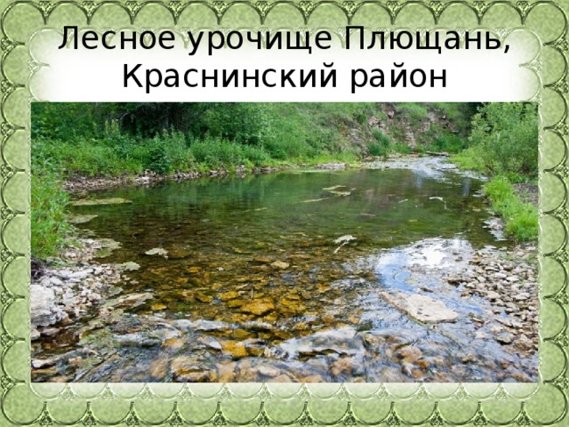 Лесное урочище Плющань, Краснинский район 