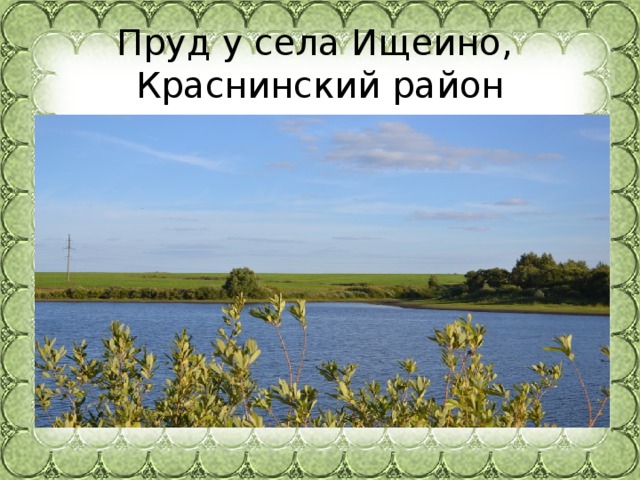 Пруд у села Ищеино,   Краснинский район 