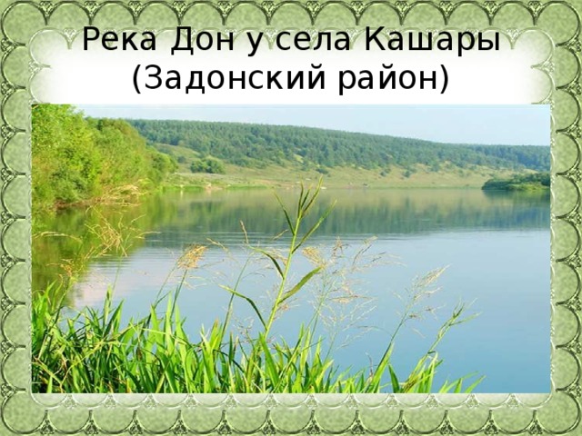 Река Дон у села Кашары  (Задонский район) 