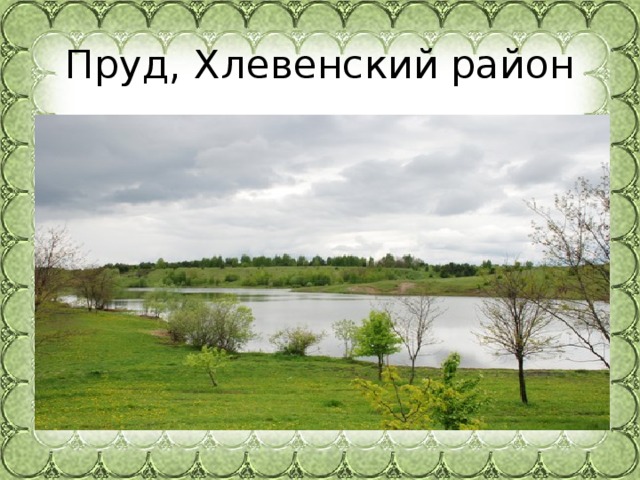 Пруд, Хлевенский район 