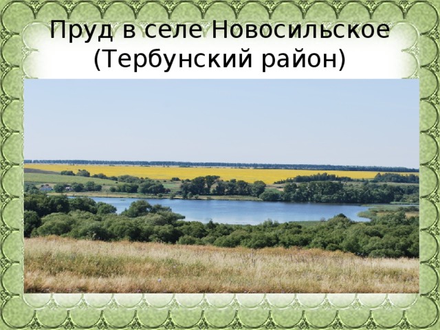 Пруд в селе Новосильское (Тербунский район) 