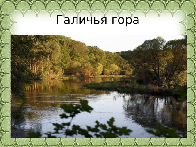 Галичья гора 