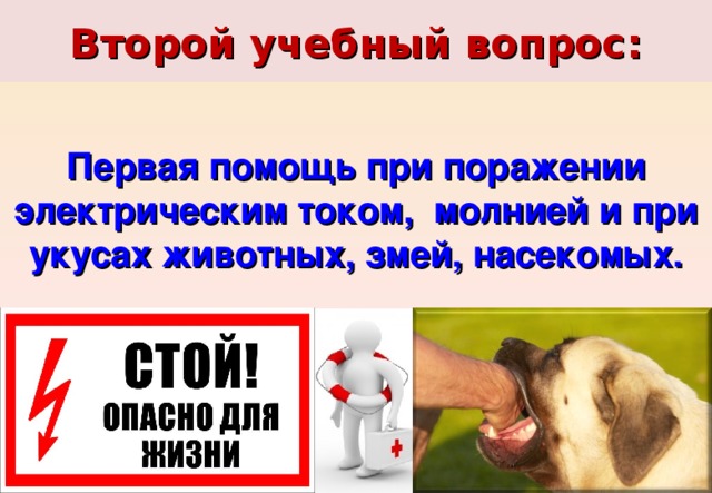 Второй учебный вопрос: Первая помощь при поражении электрическим током, молнией и при укусах животных, змей, насекомых. 